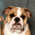 Thumbnail link to picture #5